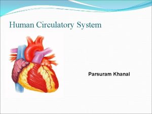 Human Circulatory System Parsuram Khanal INTRODUCTION the system