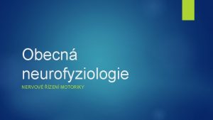 Obecn neurofyziologie NERVOV ZEN MOTORIKY zen motoriky Zklad