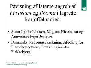 Pvisning af latente angreb af Fusarium og Phoma