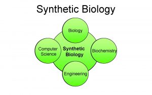 Synthetic Biology Computer Science Synthetic Biology Engineering Biochemistry