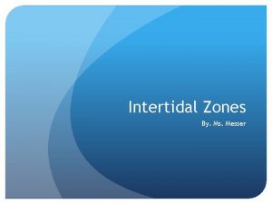 Intertidal Zones By Ms Messer Intertidal Zone Where