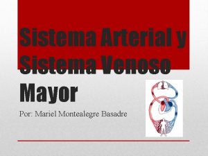 Sistema Arterial y Sistema Venoso Mayor Por Mariel