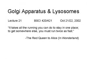 Golgi Apparatus Lysosomes Lecture 21 BSCI 420421 Oct