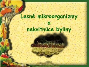 Lesn mikroorganizmy a nekvitnce byliny Mikroorganizmy v ij