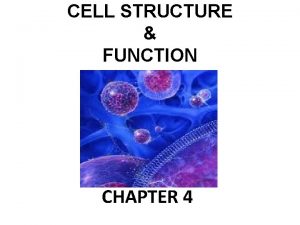 CELL STRUCTURE FUNCTION CHAPTER 4 CELLS ALL LIVING