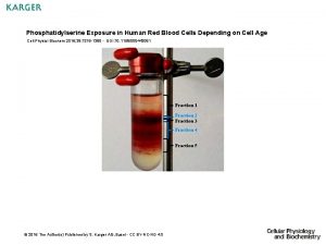 Phosphatidylserine Exposure in Human Red Blood Cells Depending