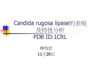 Candida rugosa lipase PDB ID 1 CRL 1126