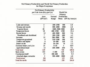 Net Primary Productivity and World Net Primary Production