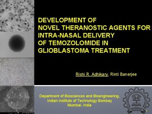 DEVELOPMENT OF NOVEL THERANOSTIC AGENTS FOR INTRANASAL DELIVERY