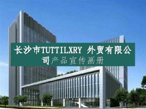 Company introduction TUTTILXRY 2017 GucciLVChanel Changsha TUTTILXRY Trading