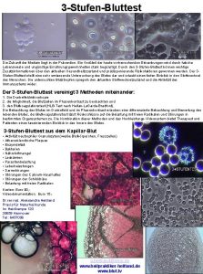 3 StufenBluttest Die Zukunft der Medizin liegt in