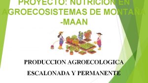 PROYECTO NUTRICION EN AGROECOSISTEMAS DE MONTAA MAAN PRODUCCION