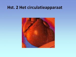 Hst 2 Het circulatieapparaat Ligging van het hart