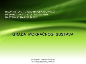 MSONJMTONJ 3 GODINA OBRAZOVANJA PREDMET ANATOMIJA I FIZIOLOGIJA