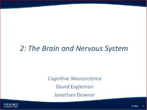 2 The Brain and Nervous System Cognitive Neuroscience