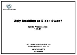 Ugly Duckling or Black Swan Ignite Presentation 12607