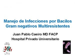 Manejo de Infecciones por Bacilos Gram negativos Multiresistentes