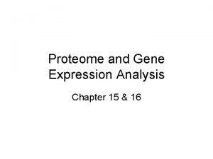 Proteome and Gene Expression Analysis Chapter 15 16