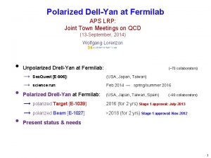 Polarized DellYan at Fermilab APS LRP Joint Town