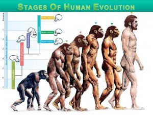 INTRODUCTION Evolution is a gradual process in which