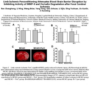Limb Ischemic Perconditioning Attenuates BloodBrain Barrier Disruption by