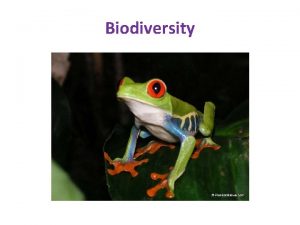 Biodiversity Evolution and Natural Selection Biodiversity Our Planet