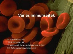 Vr s immunsejtek Dr H Mink Krisztina 2019