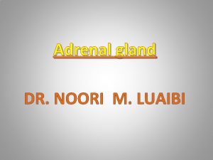 Adrenal gland DR NOORI M LUAIBI ADRENAL GLANDS