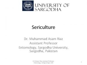 Sericulture Dr Muhammad Asam Riaz Assistant Professor Entomology