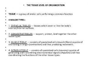 THE TISSUE LEVEL OF ORGANIZATION TISSUE a group