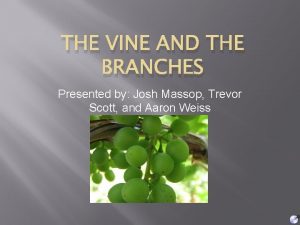 THE VINE AND THE BRANCHES Presented by Josh