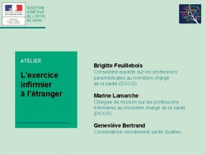 ATELIER Lexercice infirmier ltranger Brigitte Feuillebois Conseillre experte