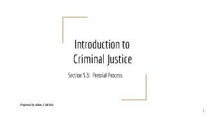 Introduction to Criminal Justice Section 5 3 Pretrial