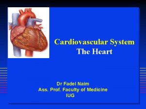 Cardiovascular System The Heart Dr Fadel Naim Ass