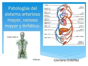 Patologas del sistema arterioso mayor venoso mayor y