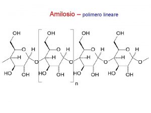 Amilosio polimero lineare Amilopectina ramificazione ogni 24 30