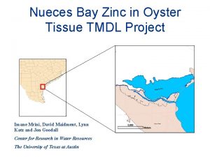 Nueces Bay Zinc in Oyster Tissue TMDL Project