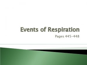 Events of Respiration Pages 445 448 The Respiratory