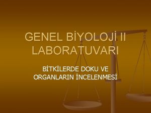 GENEL BYOLOJ II LABORATUVARI BTKLERDE DOKU VE ORGANLARIN