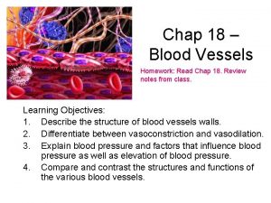 Chap 18 Blood Vessels Homework Read Chap 18