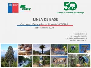LINEA DE BASE Corporacin Nacional ForestalCONAF SEPTIEMBRE 2020