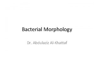 Bacterial Morphology Dr Abdulaziz AlKhattaf Protoplasm Bacteria organized