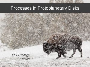 Processes in Protoplanetary Disks Phil Armitage Colorado Processes