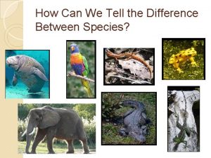 How Can We Tell the Difference Between Species
