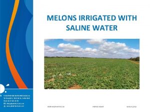 MELONS IRRIGATED WITH SALINE WATER PLANET HORIZONS TECHNOLOGIES