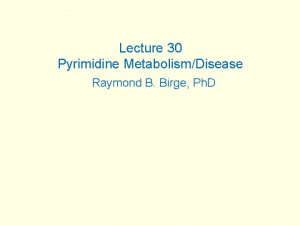 Lecture 30 Pyrimidine MetabolismDisease Raymond B Birge Ph