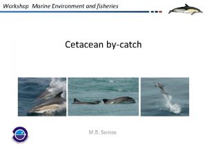 Workshop Marine Environment and fisheries Cetacean bycatch M