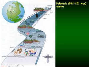 Paleozoic 542 251 mya events Late Paleozoickey things