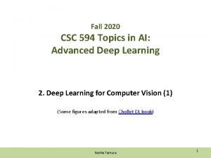 Fall 2020 CSC 594 Topics in AI Advanced