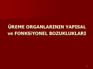 REME ORGANLARININ YAPISAL ve FONKSi YONEL BOZUKLUKLARI 1